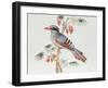 Green Magpie, Ch'Ien-Lung Period-null-Framed Giclee Print