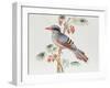 Green Magpie, Ch'Ien-Lung Period-null-Framed Giclee Print