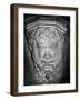 Green Man, Old Radnor Church, Powys, Wales-Simon Marsden-Framed Giclee Print