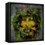 Green Man-Mark Gordon-Framed Stretched Canvas