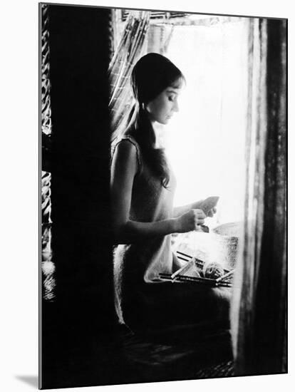 Green Mansions, Audrey Hepburn, Directed by Mel Ferrer, 1959-null-Mounted Photographic Print