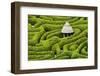 Green Maze-Michael Blanchette Photography-Framed Photographic Print