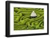 Green Maze-Michael Blanchette Photography-Framed Photographic Print