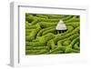 Green Maze-Michael Blanchette Photography-Framed Photographic Print
