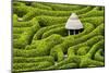 Green Maze-Michael Blanchette Photography-Mounted Photographic Print