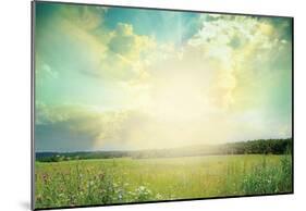 Green Meadow Under Blue Sky With Clouds-null-Mounted Poster