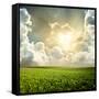 Green Meadow under Blue Sky with Clouds-Volokhatiuk-Framed Stretched Canvas