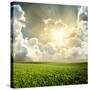 Green Meadow under Blue Sky with Clouds-Volokhatiuk-Stretched Canvas