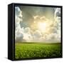 Green Meadow under Blue Sky with Clouds-Volokhatiuk-Framed Stretched Canvas