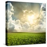 Green Meadow under Blue Sky with Clouds-Volokhatiuk-Stretched Canvas