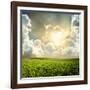 Green Meadow under Blue Sky with Clouds-Volokhatiuk-Framed Photographic Print