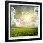 Green Meadow under Blue Sky with Clouds-Volokhatiuk-Framed Photographic Print