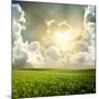 Green Meadow under Blue Sky with Clouds-Volokhatiuk-Mounted Photographic Print