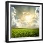 Green Meadow under Blue Sky with Clouds-Volokhatiuk-Framed Photographic Print