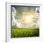 Green Meadow under Blue Sky with Clouds-Volokhatiuk-Framed Photographic Print