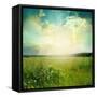 Green Meadow Under Blue Sky With Clouds-Volokhatiuk-Framed Stretched Canvas