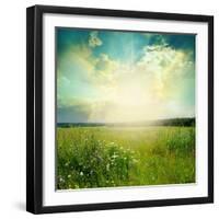 Green Meadow Under Blue Sky With Clouds-Volokhatiuk-Framed Art Print