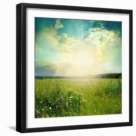 Green Meadow Under Blue Sky With Clouds-Volokhatiuk-Framed Art Print