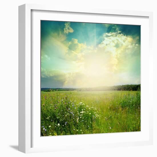 Green Meadow Under Blue Sky With Clouds-Volokhatiuk-Framed Art Print