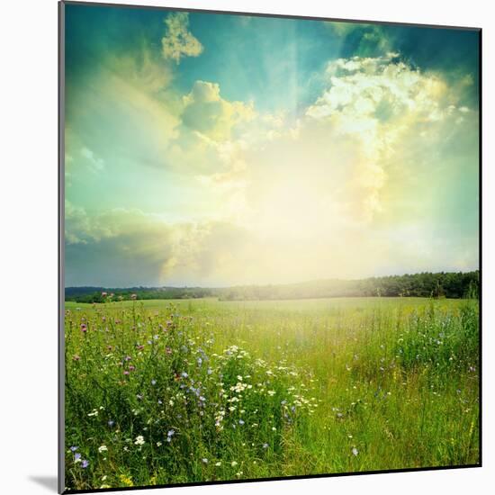 Green Meadow Under Blue Sky With Clouds-Volokhatiuk-Mounted Art Print