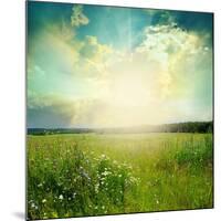 Green Meadow Under Blue Sky With Clouds-Volokhatiuk-Mounted Premium Giclee Print