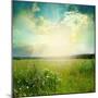 Green Meadow Under Blue Sky With Clouds-Volokhatiuk-Mounted Premium Giclee Print