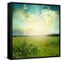 Green Meadow Under Blue Sky With Clouds-Volokhatiuk-Framed Stretched Canvas