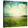 Green Meadow Under Blue Sky With Clouds-Volokhatiuk-Stretched Canvas