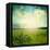 Green Meadow Under Blue Sky With Clouds-Volokhatiuk-Framed Stretched Canvas