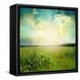 Green Meadow Under Blue Sky With Clouds-Volokhatiuk-Framed Stretched Canvas