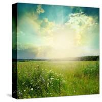 Green Meadow Under Blue Sky With Clouds-Volokhatiuk-Stretched Canvas