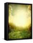 Green Meadow under Blue Sky with Clouds-Volokhatiuk-Framed Stretched Canvas