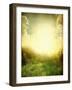 Green Meadow under Blue Sky with Clouds-Volokhatiuk-Framed Art Print