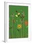 Green Meadow-Dicky Bird-Framed Giclee Print