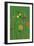 Green Meadow-Dicky Bird-Framed Premium Giclee Print