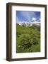 Green Meadows and Cows Grazing on a Sunny Summer Day, Orobie Alps, Arigna Valley-Roberto Moiola-Framed Photographic Print