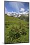 Green Meadows and Cows Grazing on a Sunny Summer Day, Orobie Alps, Arigna Valley-Roberto Moiola-Mounted Photographic Print