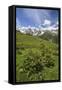 Green Meadows and Cows Grazing on a Sunny Summer Day, Orobie Alps, Arigna Valley-Roberto Moiola-Framed Stretched Canvas