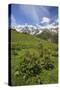 Green Meadows and Cows Grazing on a Sunny Summer Day, Orobie Alps, Arigna Valley-Roberto Moiola-Stretched Canvas