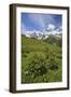 Green Meadows and Cows Grazing on a Sunny Summer Day, Orobie Alps, Arigna Valley-Roberto Moiola-Framed Photographic Print