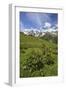 Green Meadows and Cows Grazing on a Sunny Summer Day, Orobie Alps, Arigna Valley-Roberto Moiola-Framed Photographic Print