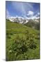 Green Meadows and Cows Grazing on a Sunny Summer Day, Orobie Alps, Arigna Valley-Roberto Moiola-Mounted Photographic Print