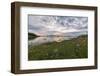 Green meadows and flowers frame the sea under the pink clouds of the midnight sun, Vidrek, Ofotfjor-Roberto Moiola-Framed Photographic Print