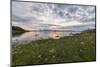 Green meadows and flowers frame the sea under the pink clouds of the midnight sun, Vidrek, Ofotfjor-Roberto Moiola-Mounted Photographic Print