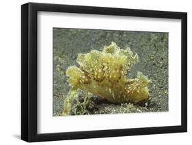 Green Melibe-Hal Beral-Framed Premium Photographic Print