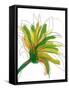Green Mix-Jan Weiss-Framed Stretched Canvas