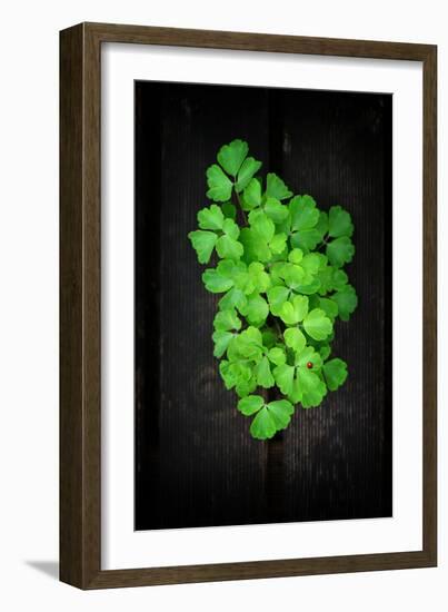 Green Moment-Philippe Sainte-Laudy-Framed Photographic Print