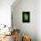 Green Moment-Philippe Sainte-Laudy-Mounted Photographic Print displayed on a wall
