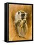 Green Monkey 11-Michael Jackson-Framed Stretched Canvas