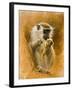 Green Monkey 11-Michael Jackson-Framed Giclee Print